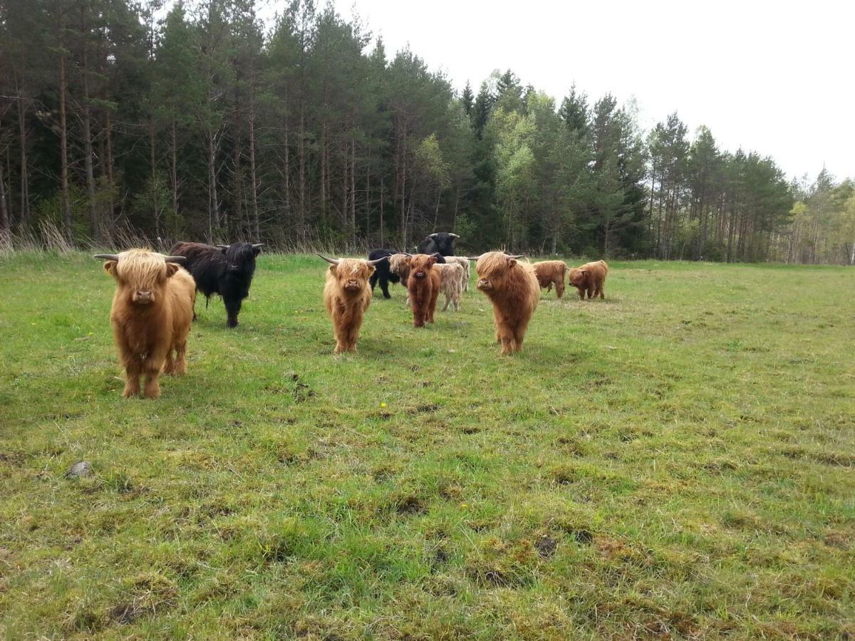Ranna Villa Farm Kudema Экстерьер фото