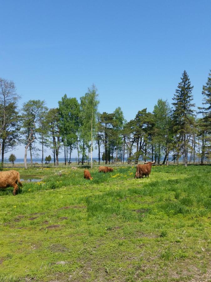 Ranna Villa Farm Kudema Экстерьер фото