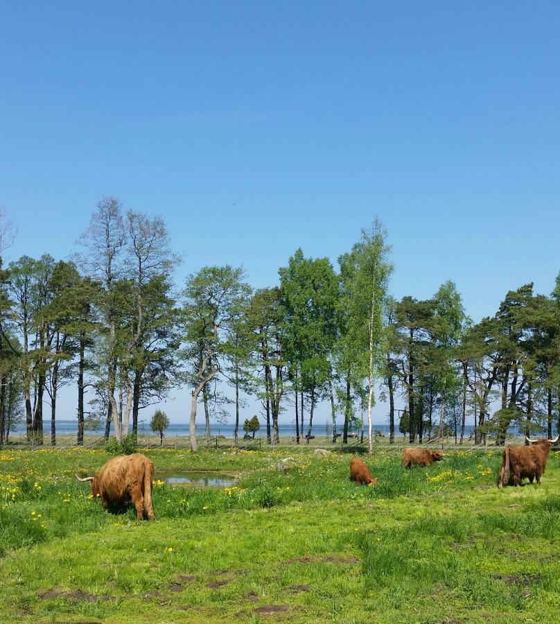 Ranna Villa Farm Kudema Экстерьер фото